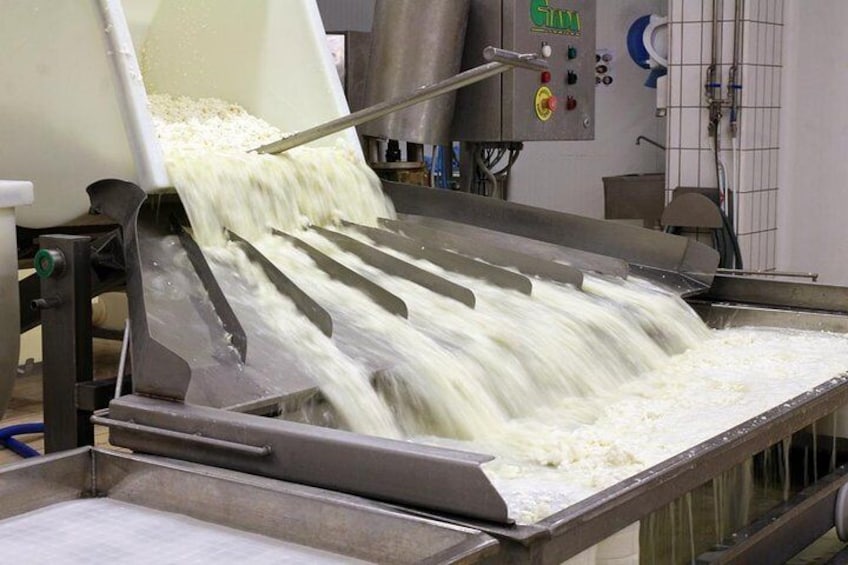 Cheesemaker for a day & visit to the dairy