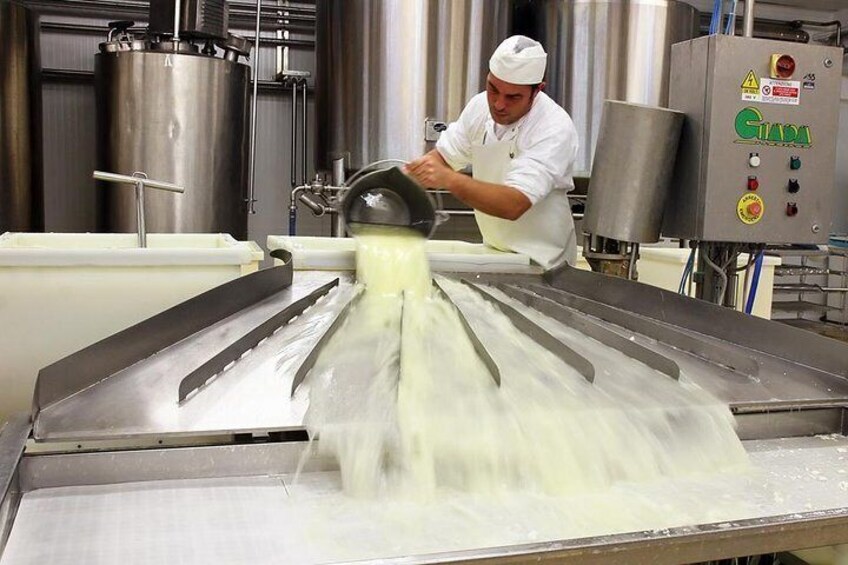 Cheesemaker for a day & visit to the dairy