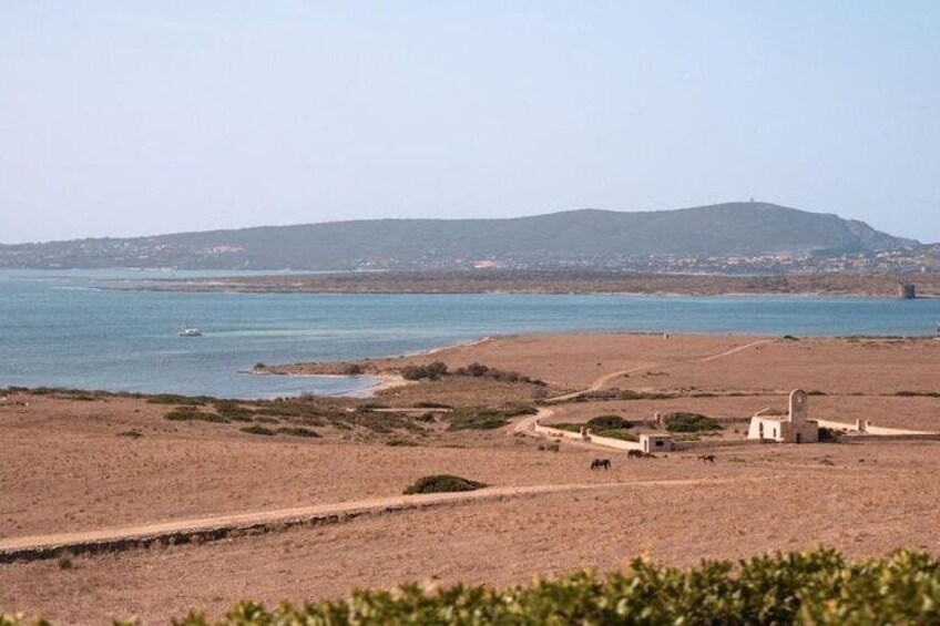 beautiful landscapes Asinara