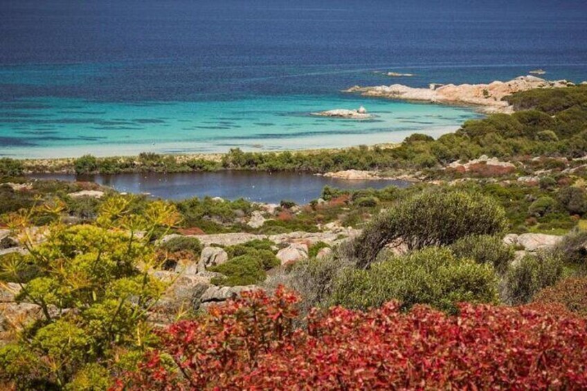 ASINARA ISLAND-TOUR full day Minivan in the National Park
