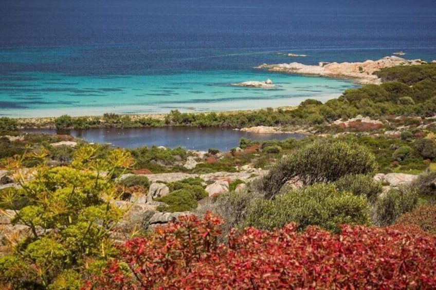 ASINARA ISLAND-TOUR full day Minivan in the National Park