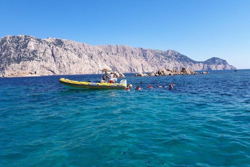Snorkeling marine protected area Tavolara