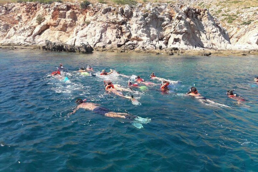 Snorkeling marine protected area Tavolara