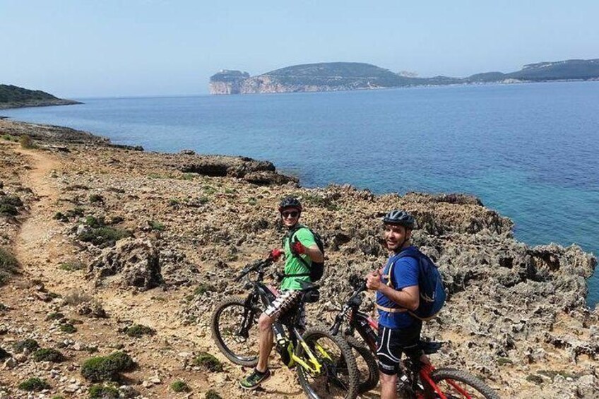 Single track along the sea