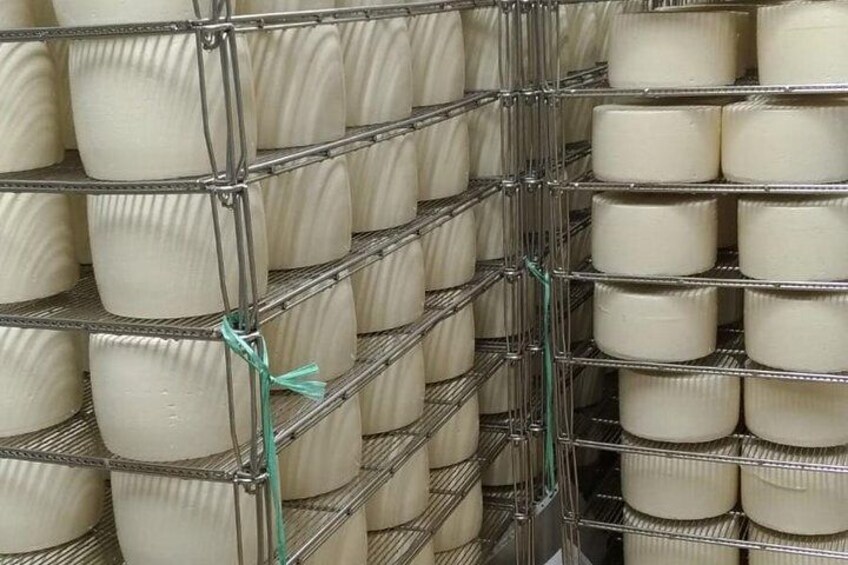 Cagliari: Guided tour of a dairy