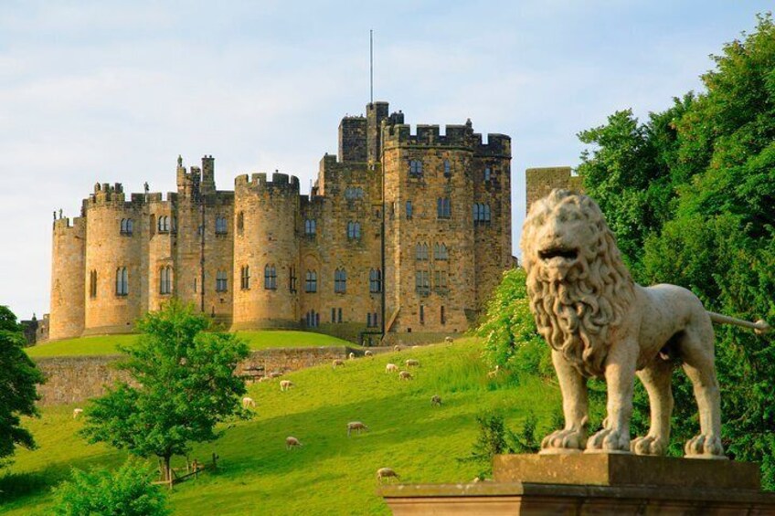 Cruise excursion / Private Tour: Wizard's Tale at Alnwick Castle