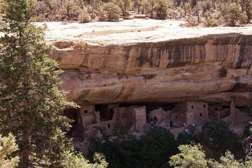 Spruce Tree House viewed from Museum