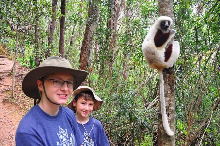The kids are welcom to join the tour and spot the lemurs