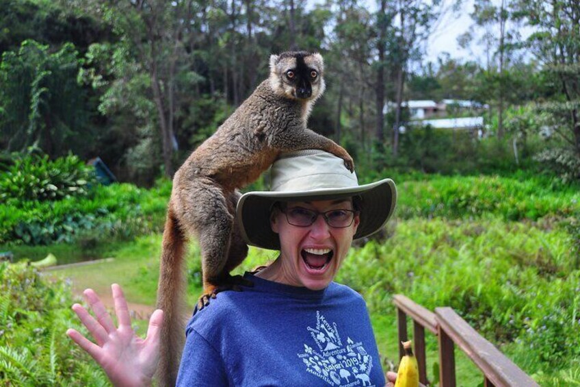  Have selfi with Lemurs