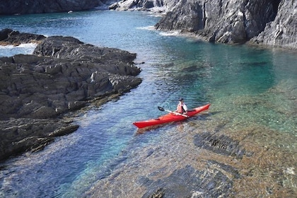 Visite d'une demi-journée en kayak à Cinque Terre au départ de Monterosso
