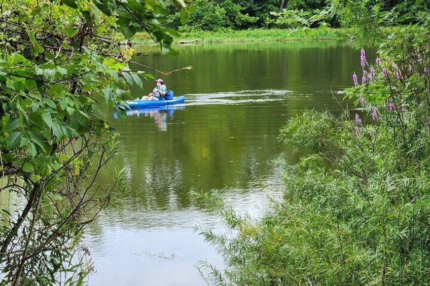 Wood & Wetlands River Trip