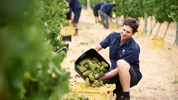 Small-Group Wine Tasting Tour at Vasse Felix