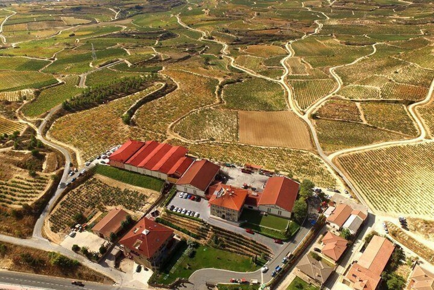 La Rioja Private Winery Visit with Wine Tasting and Lunch