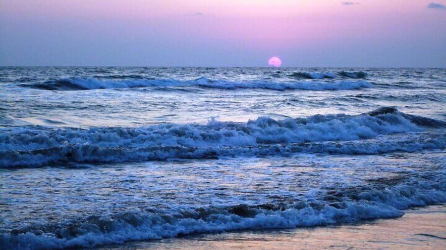 Experience the Largest Unbroken Sea Beach in the World