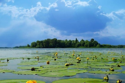 Classic Hangzhou Two-Day Tour with A Depth-Explore to Xixi Wetland Park
