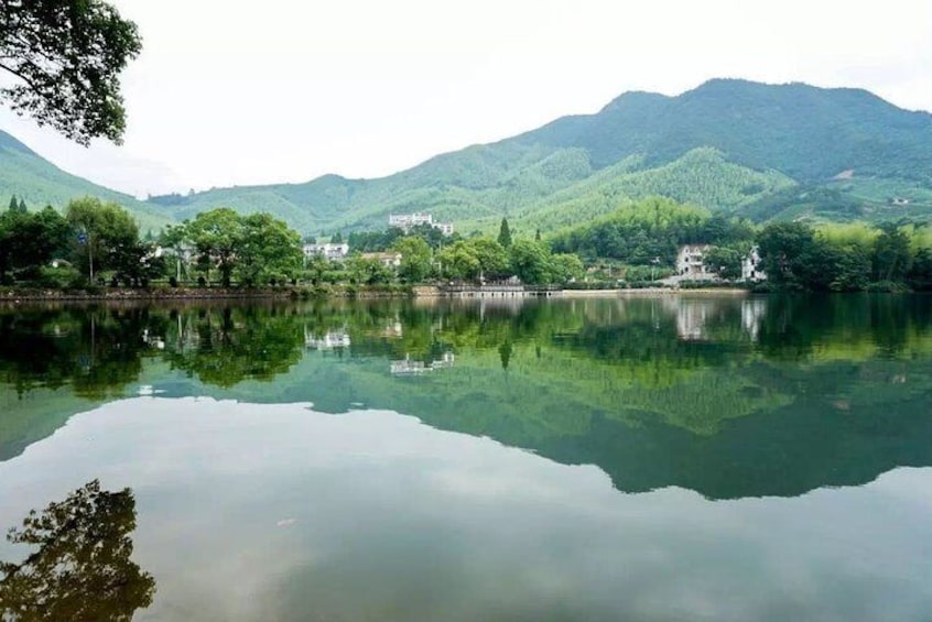 Private Day Trip to Mogan Mountain from Hangzhou