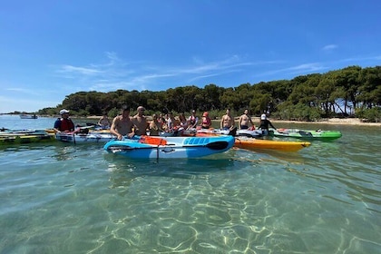 Kayak Tour: Porto Cesareo and the Marine Protected Area