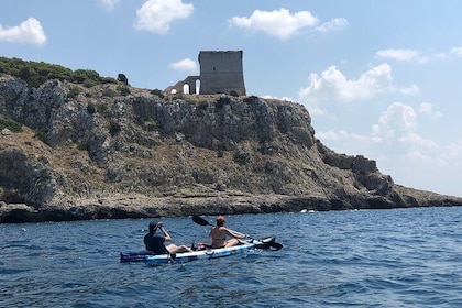 Kayak and canoe marine excursion: the Porto Selvaggio Natural Park