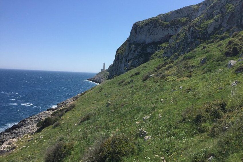 Excursion: the Path of Capo d’Otranto and the Lighthouse of Palascia