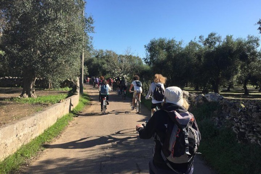 Bike tour: Otranto, Giurdignano and the Megalithic Garden