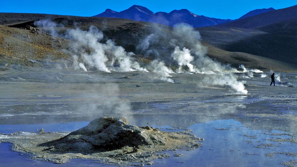Field of steaming geysers in Chile