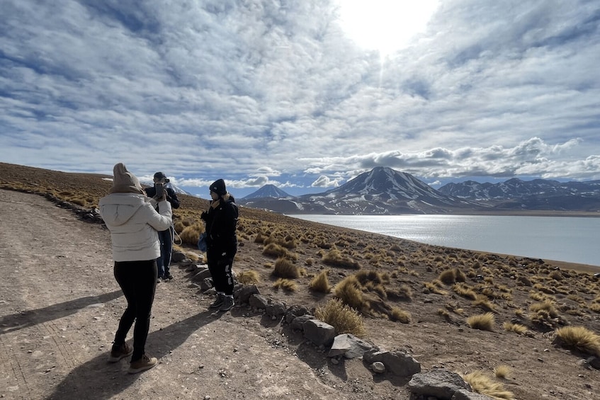 Altiplanic Lagoons, Atacama Salt Flat & Red Stones Full-Day Tour