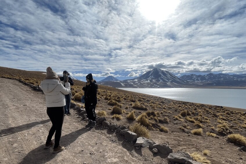 Altiplanic Lagoons, Atacama Salt Flat & Red Stones Full-Day Tour