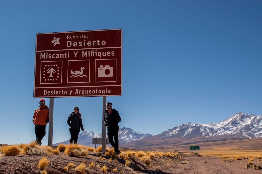 Altiplanic Lagoons, Atacama Salt Flat & Red Stones Full-Day Tour