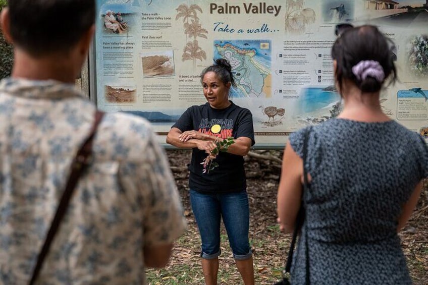 Cape Byron Aboriginal Tour