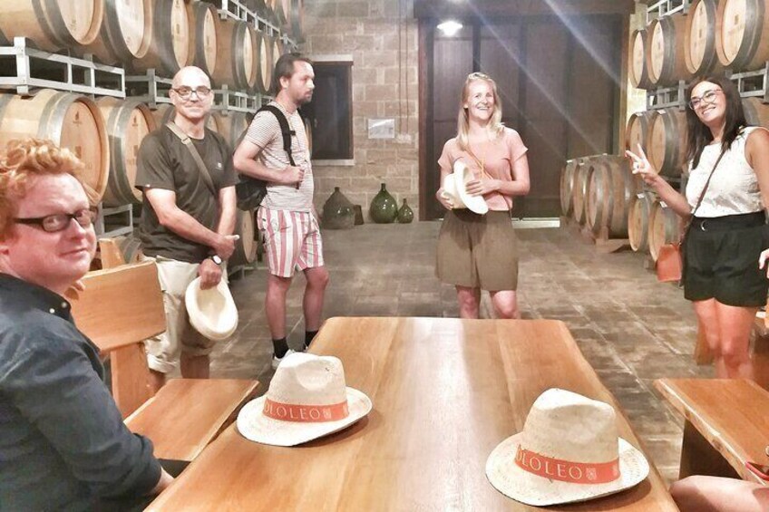 Discover the best cellars of Salento