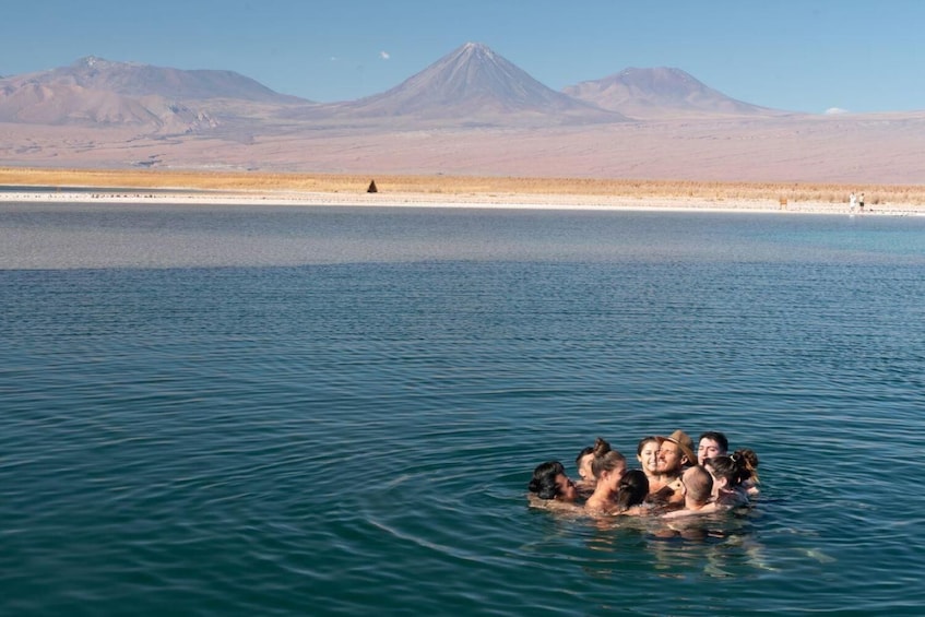 Cejar & Tebenquiche Lagoons Half-Day Tour