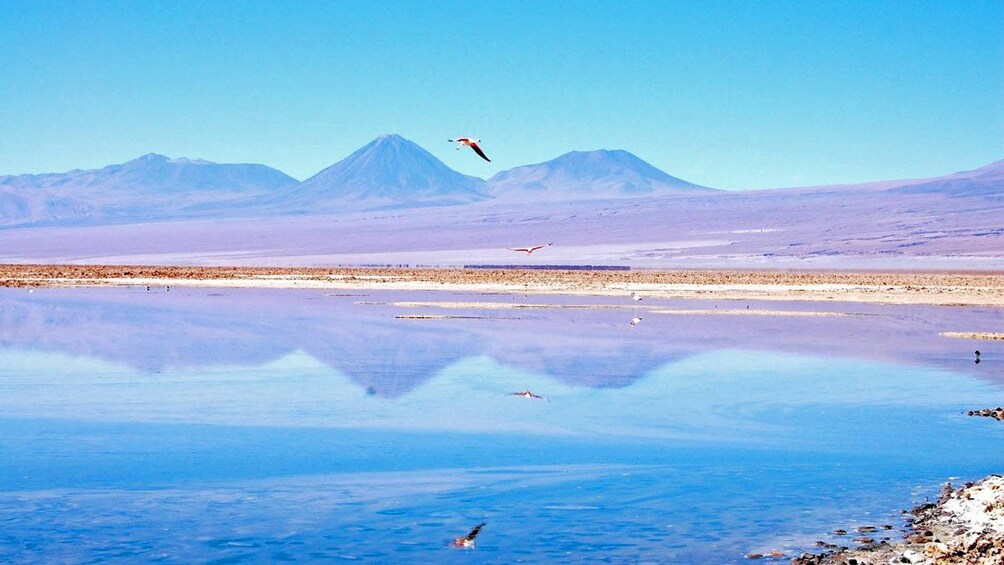 Tebenquiche Lagoon in Chile