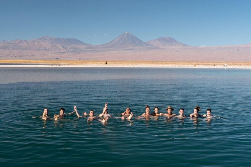 Cejar & Tebenquiche Lagoons Half-Day Tour