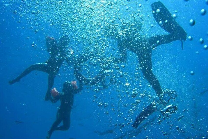 Guided snorkeling