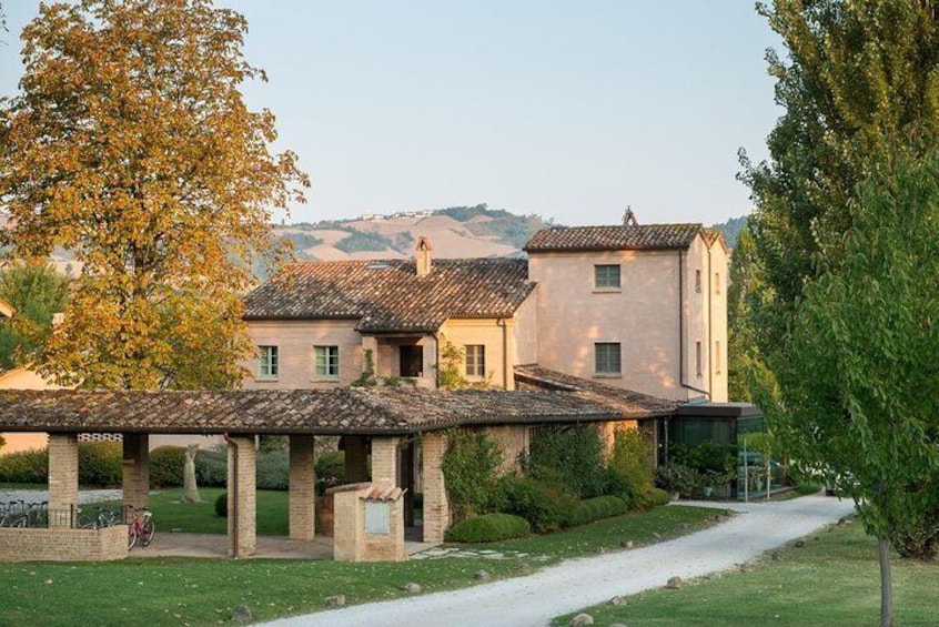 EBike tour with organic wine tasting