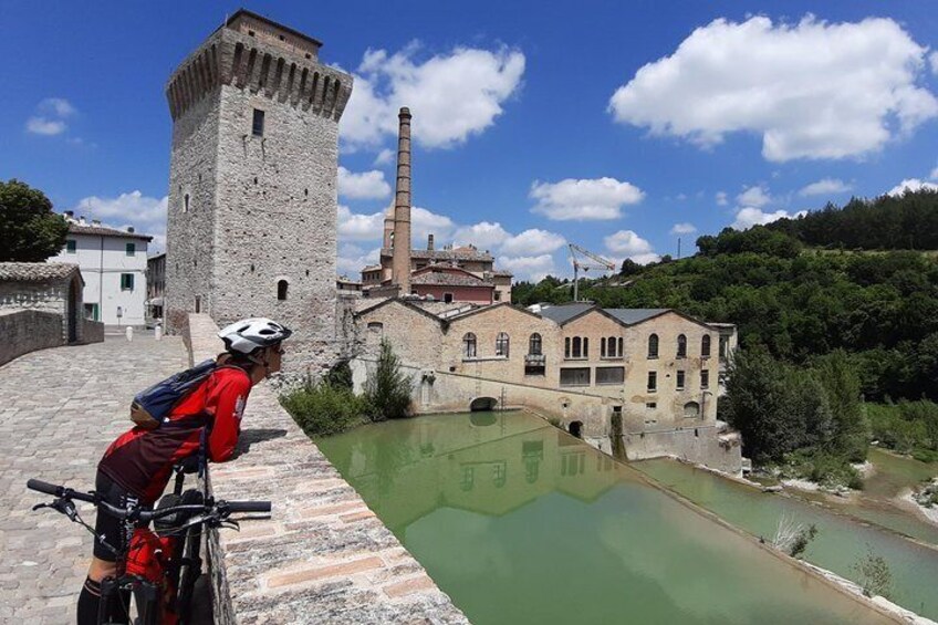 Tour in eBike Riserva Gola del Furlo and Tartufo