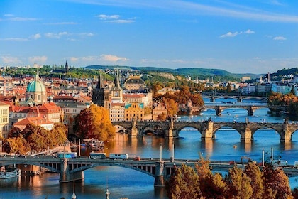 Prague private day tour from Vienna ( local guide )