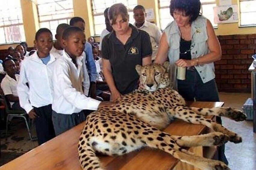 The Ann van Dyk Cheetah Guided Tour