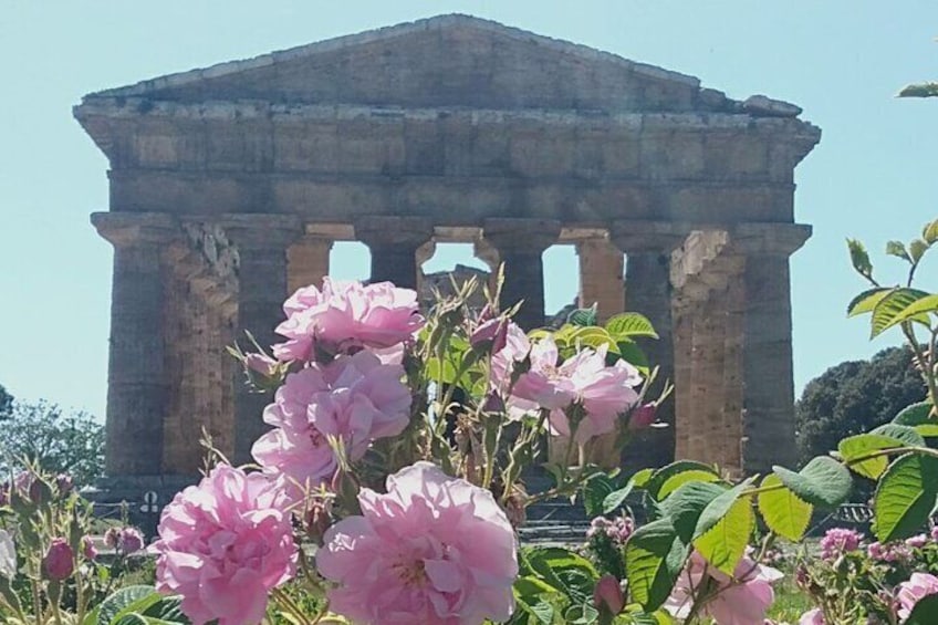 Paestum UNESCO World Heritage