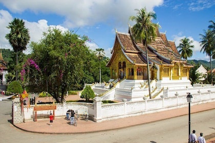 Luang Prabang City, Buffalo Dairy Farm and Kuangsi Falls - 1 Day Private To...