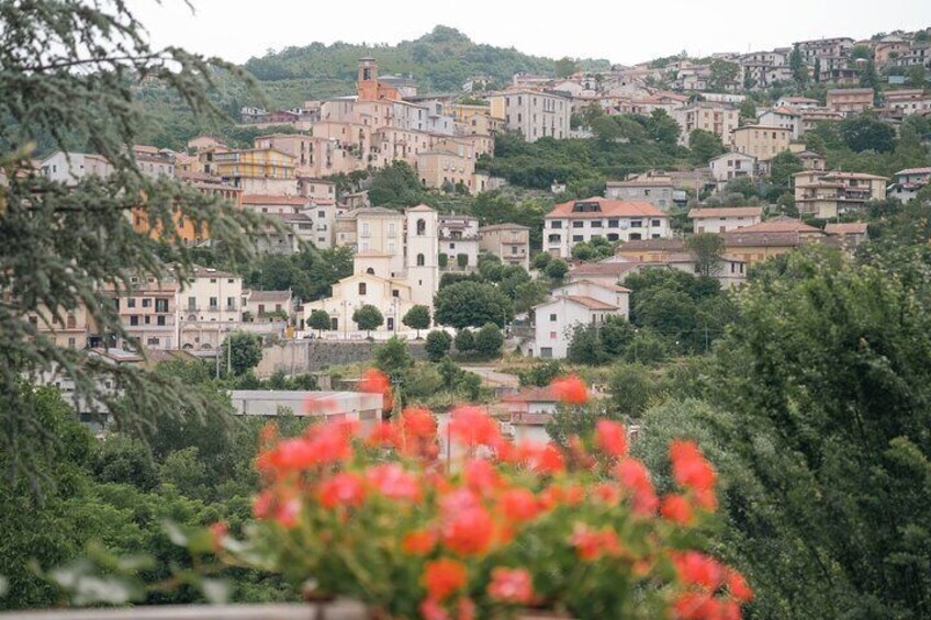 Cortecorbo Irpinia-wines: tour of the vineyards- Cooking class- wine tasting