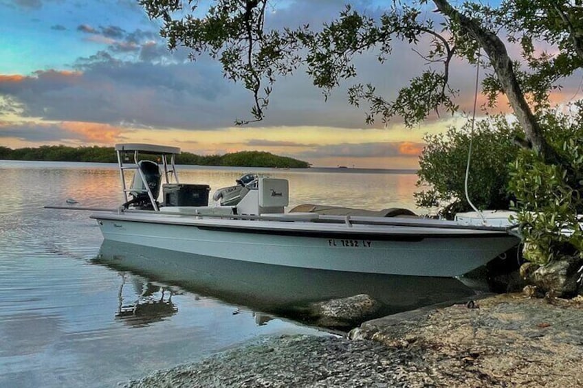 Golden Glare Fishing Charter with Experienced Captain