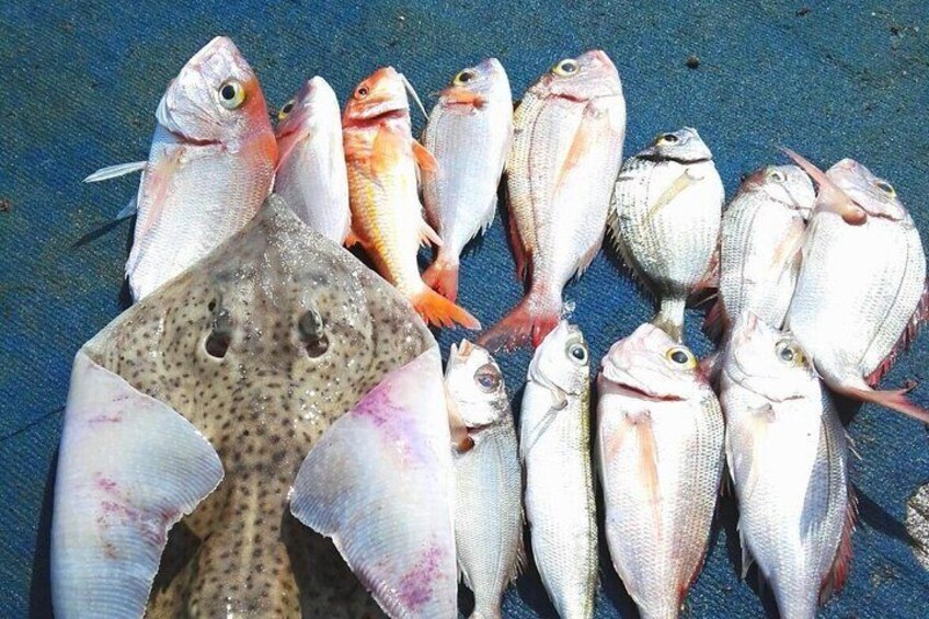 Fishing and lunch to Capri from Sorrento