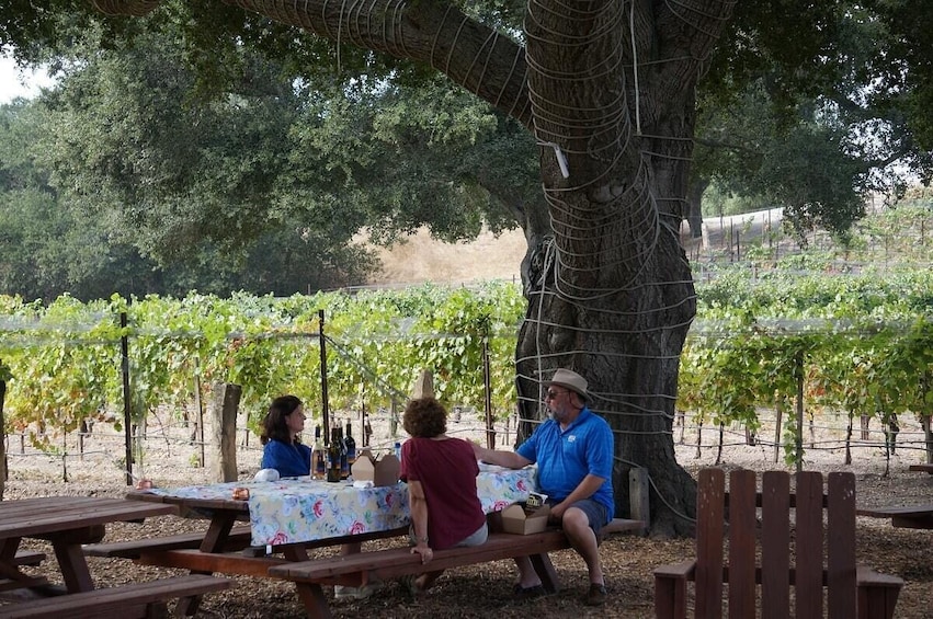 Private Full Day Boutique Winery Tour with Lunch