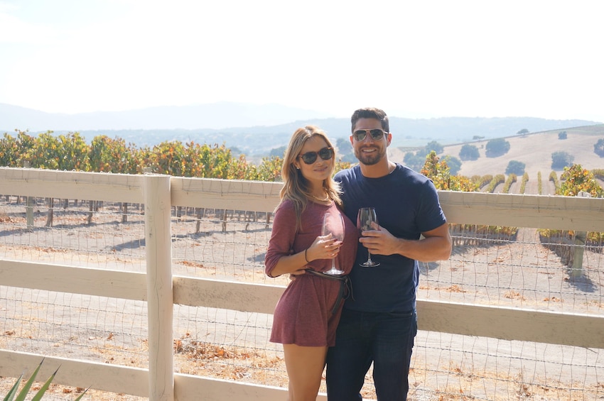 Private Full Day Boutique Winery Tour with Lunch