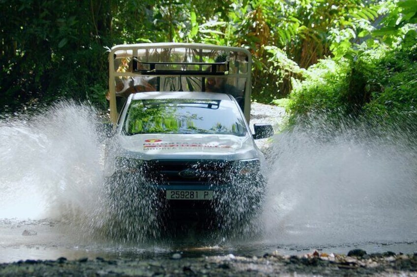 ALBERT TOURS : Excursion SAFARI 4x4