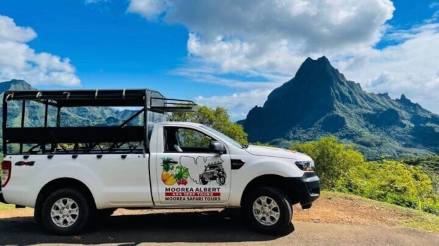 ALBERT TOURS :Excursion SAFARI 4x4 with private SWING view point