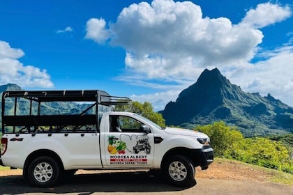 ALBERT TOURS :Excursion SAFARI 4x4 with private SWING view point