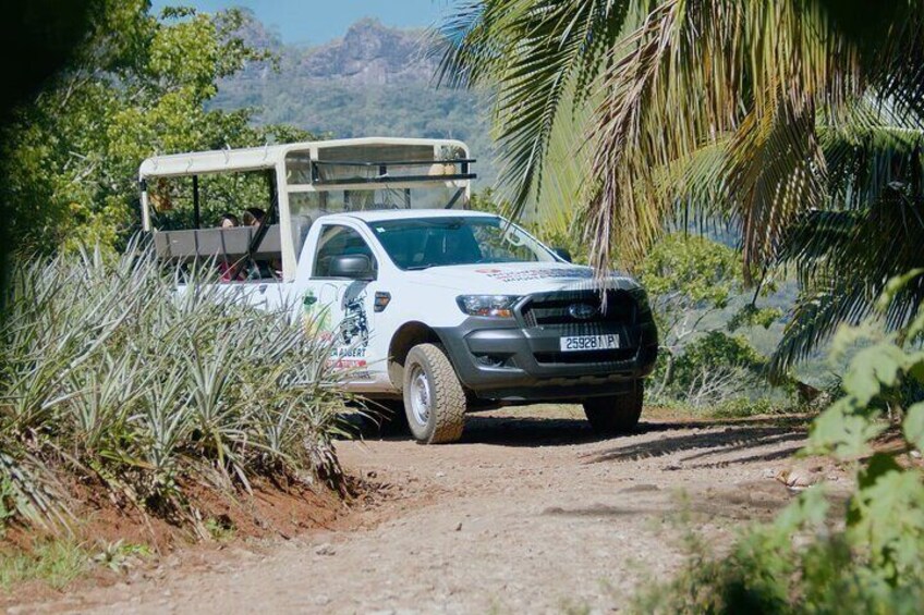 ALBERT TOURS : Excursion SAFARI 4x4