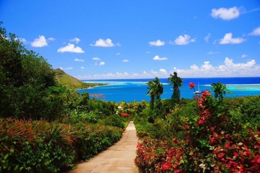 Tropical Garden